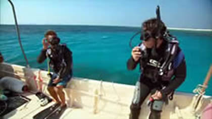 The Best Diving in the World