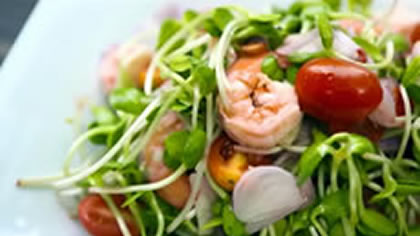 Sunflower Sprout Salad, with PB Valley Wine