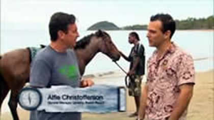 Horse Boarding