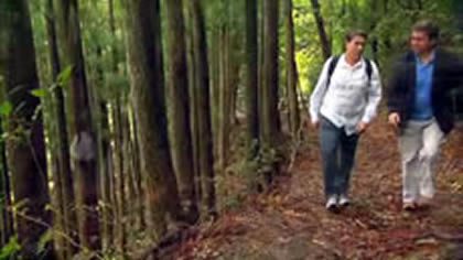 The Kumano Kodo Trail