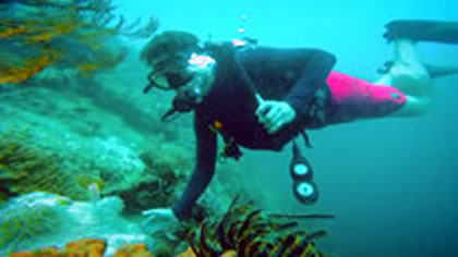 Diving and the Environment