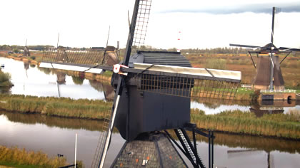 Thinking Person’s Cruise