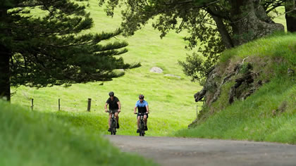 Electric Bike Tour