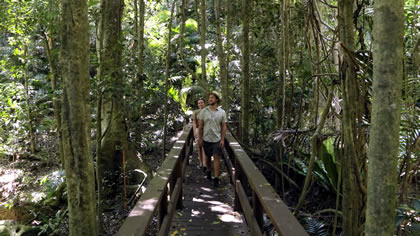 Hiking Trails