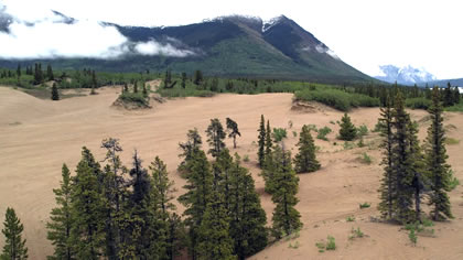 Mountain Biking in Carcross