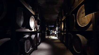 Quinta Da Aveleda Winery
